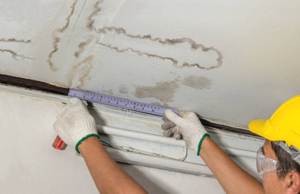 Reliable Mold Remediation contractor in Saint Joseph, TN by Water Damage Irwin